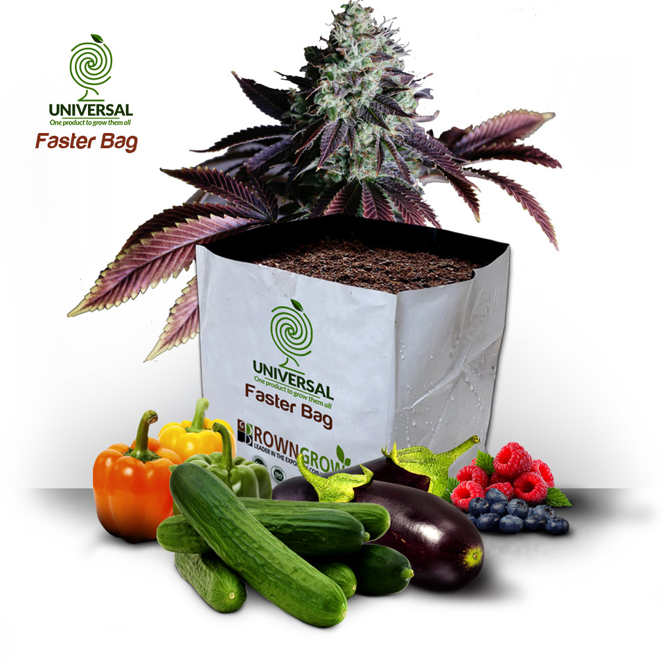 Browngrow Universal Faster Bag product